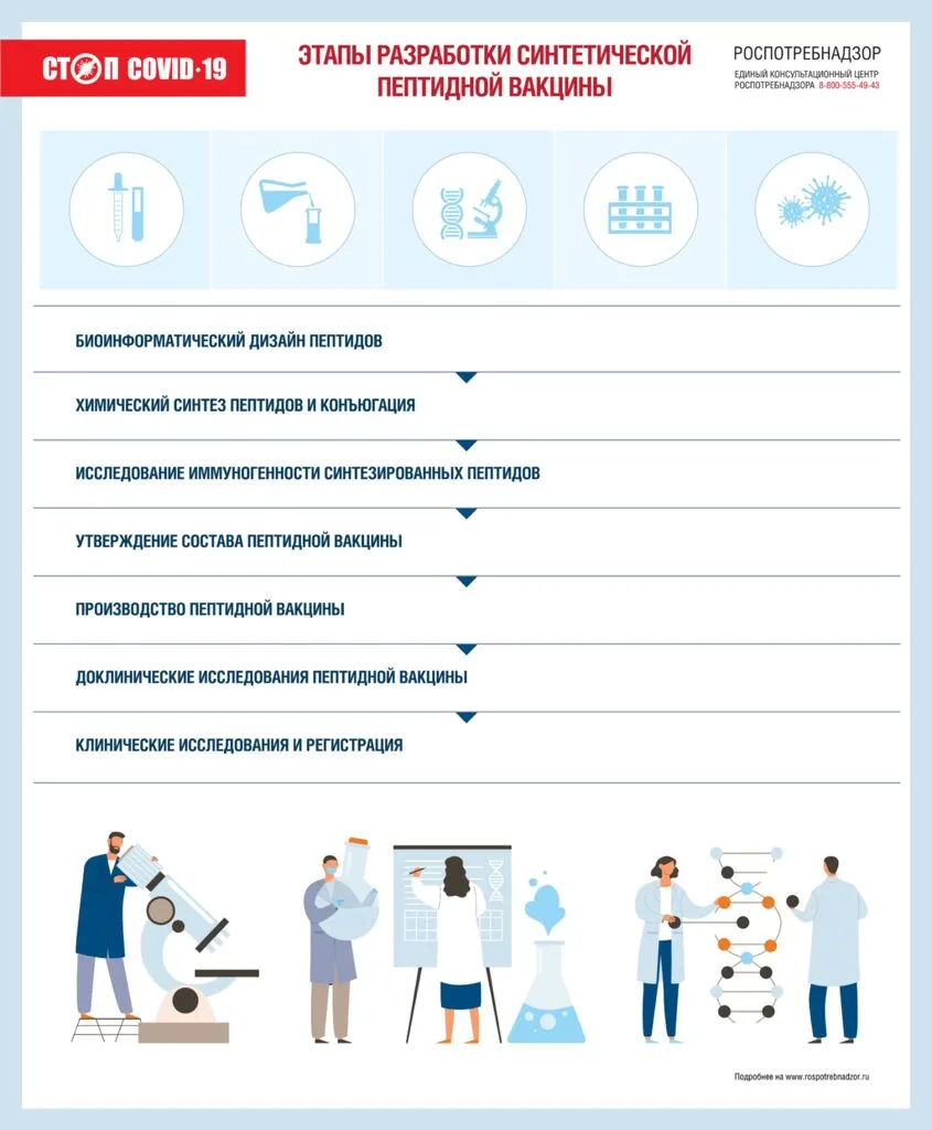 ehtapy_razrabotki_vakciny.jpg