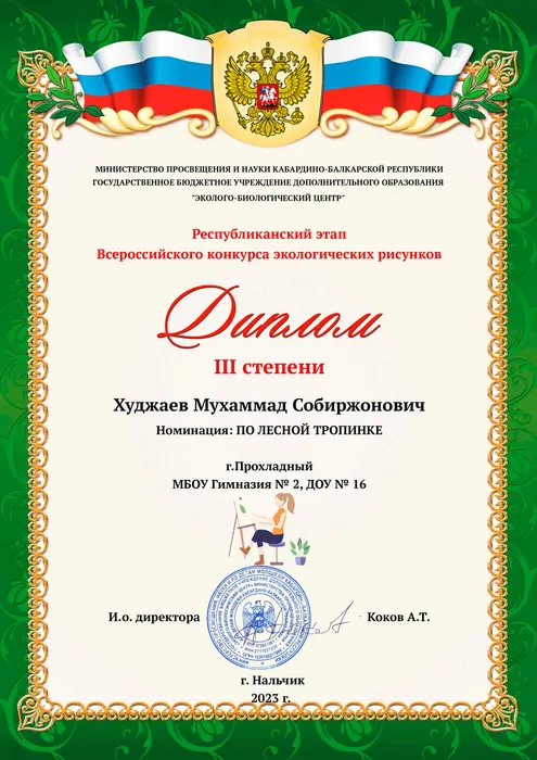 Диплом_1_5295667