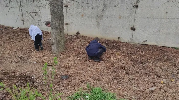 320e11f1-a87c-4da5-a170-683b76bc3adf