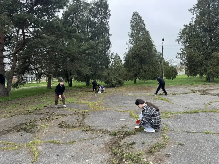 e4b2418b-85f9-4bbf-bc43-b16c6b9ccb07