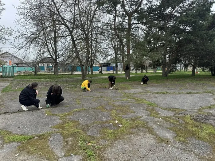 b34d686d-ea59-4234-b163-441e05293287