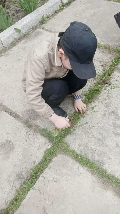 15cbb2aa-f63b-47c1-98ee-554ee69193af