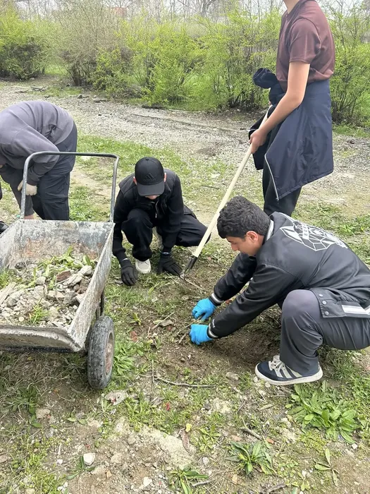 699228d7-d17f-48ca-856b-c9ad9f7a86b5