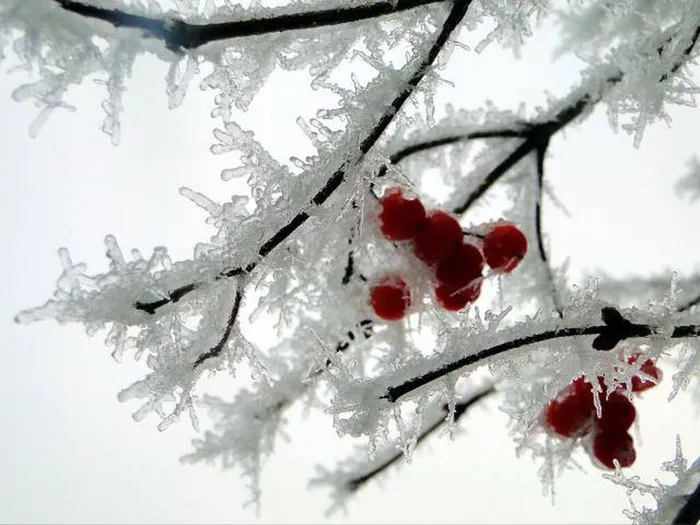 Хоконова Элина - 14 лет - Зимние кружева - МБОУ Гимназия 2