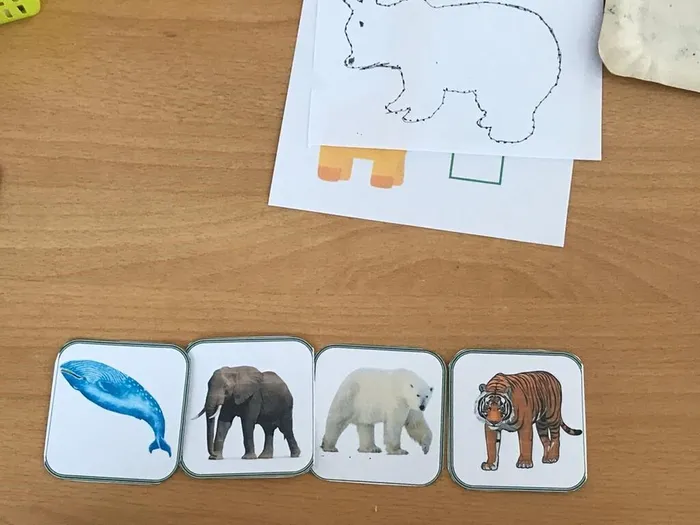 WhatsApp Image 2022-10-13 at 14.51.28 (14)