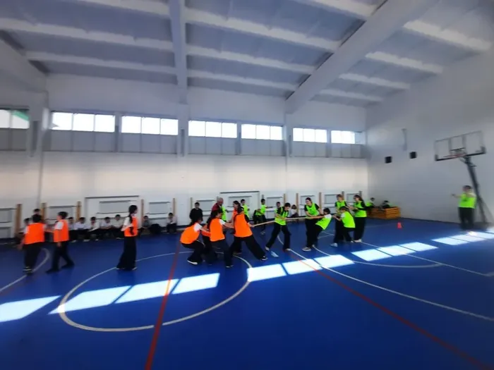 113be115-8d4d-4208-94bf-a6d0a7a9f451